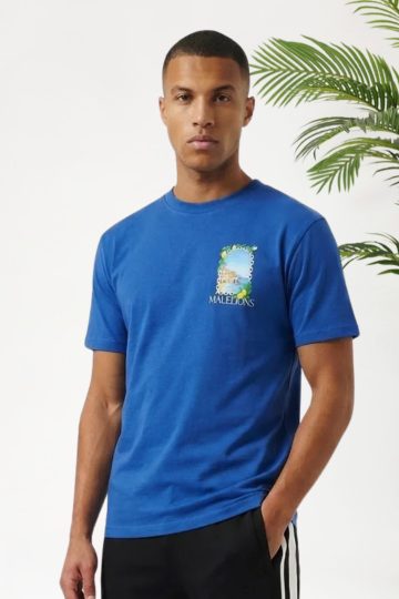 Cotton District MALELIONS AMALFI WINDOW T-SHIRT T-Shirts COBALT