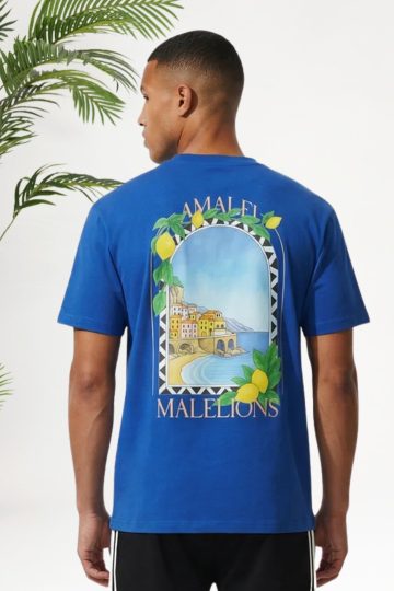 Cotton District MALELIONS AMALFI WINDOW T-SHIRT T-Shirts COBALT