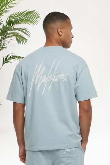 Cotton District MALELIONS OVERSIZED STRIPED SIGNATURE T-SHIRT T-Shirts ICE BLUE